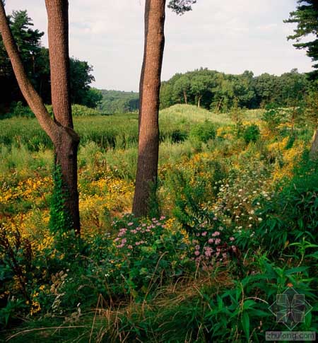 美國(guó)Alumnae山谷改造