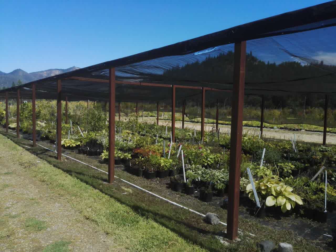 【美國考察】雷丁和舊金山站：感受那些別致的景觀設(shè)計