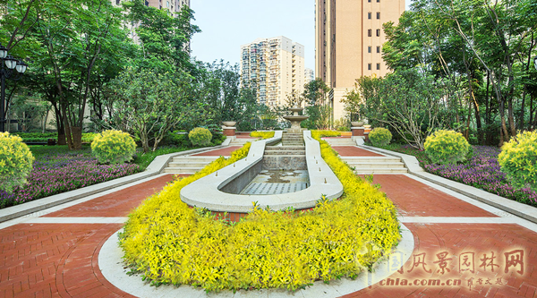 無錫明申農業特色品種黃金枸骨,圓彩化中國的夢