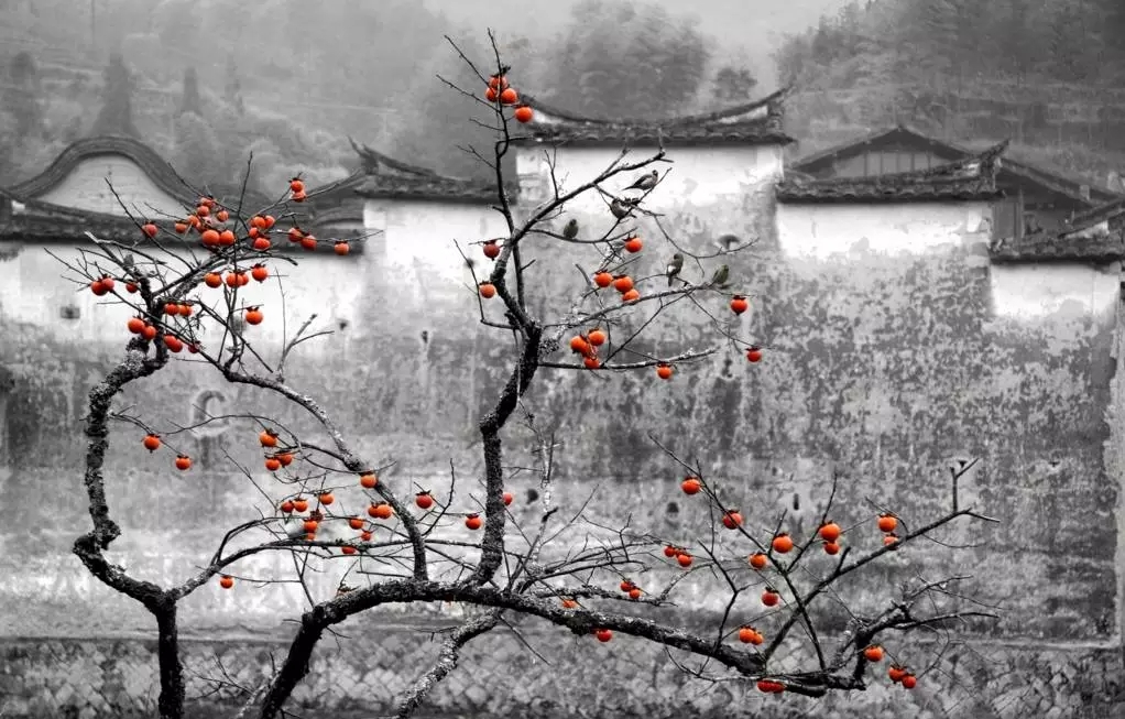 鄉(xiāng)村景觀：要望得見山，看得見水，記得住鄉(xiāng)愁。