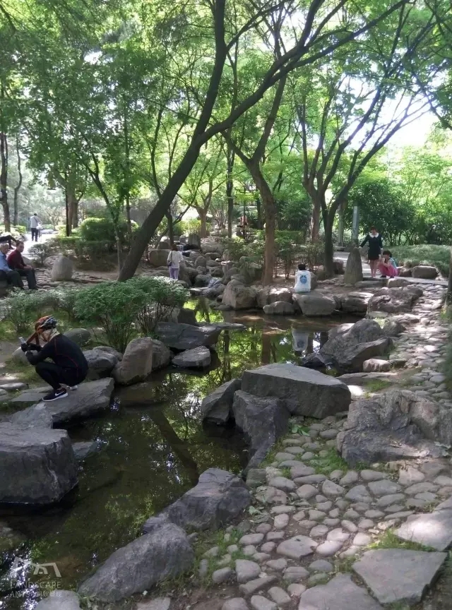 西安最好的園子考察筆記（中）