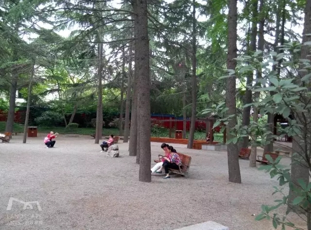 西安最好的園子考察筆記（中）