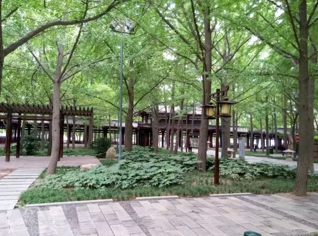 西安最好的園子考察筆記(下)