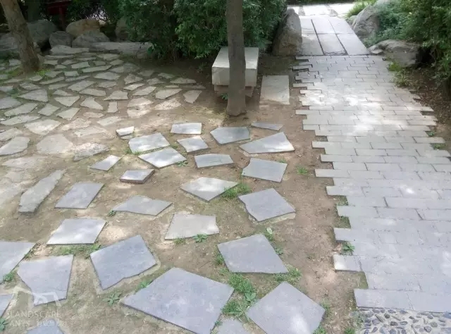 西安最好的園子考察筆記(下)