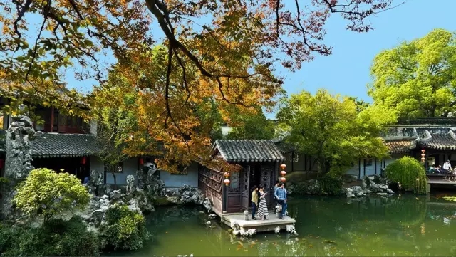 同里古鎮(zhèn)指望這個園子活著——退思園