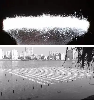 河道景觀中六大生態修復技術，你知道嗎？