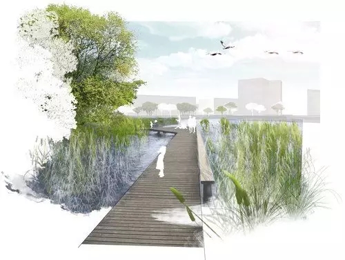 河道景觀植物搭配你知道嗎？