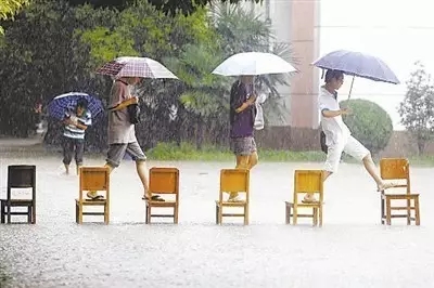 5分鐘讀懂生態智慧