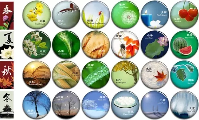 5分鐘讀懂生態智慧