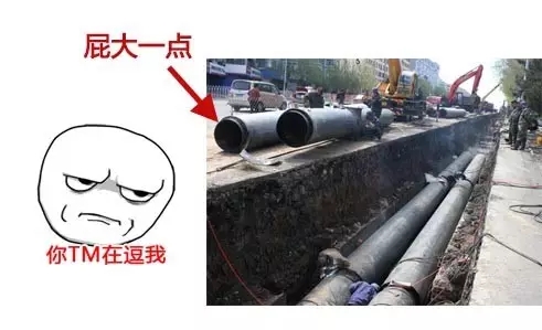 5分鐘讀懂生態(tài)智慧