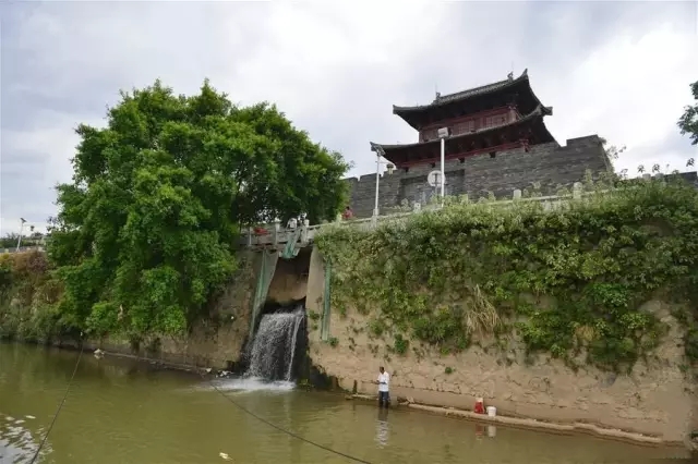 5分鐘讀懂生態(tài)智慧