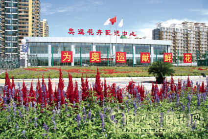 熱烈祝賀北京花鄉(xiāng)花木集團成為中國風(fēng)景園林網(wǎng)會員單位