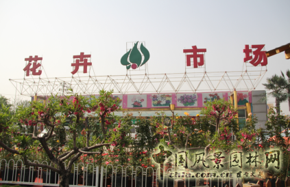 熱烈祝賀北京花鄉花木集團成為中國風景園林網會員單位