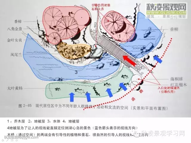 不得不看的植物營造實(shí)物圖解析