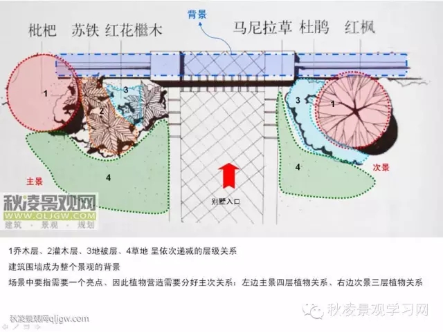 不得不看的植物營造實(shí)物圖解析