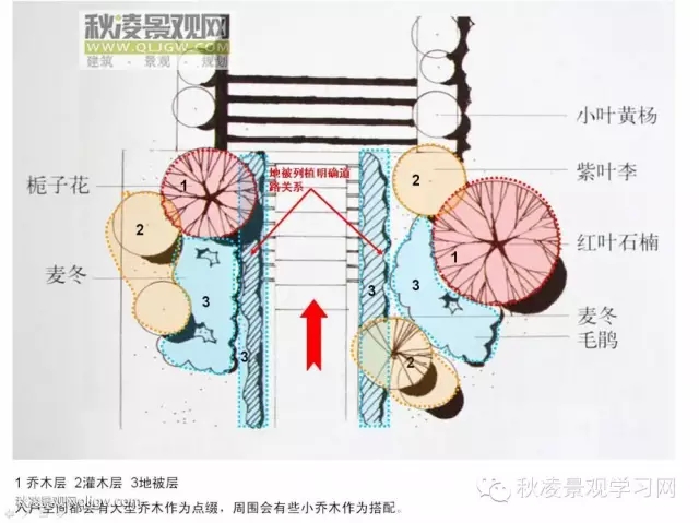 不得不看的植物營造實(shí)物圖解析