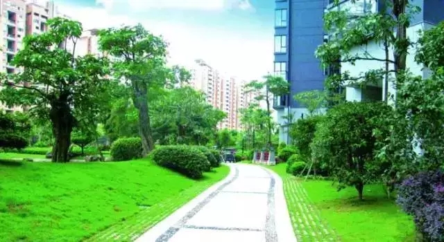 細說消防車道景觀設計