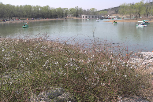 景觀設計師的邏輯“三法則”