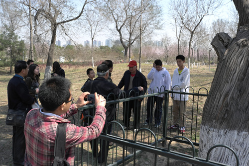 景觀設(shè)計師的邏輯“三法則”