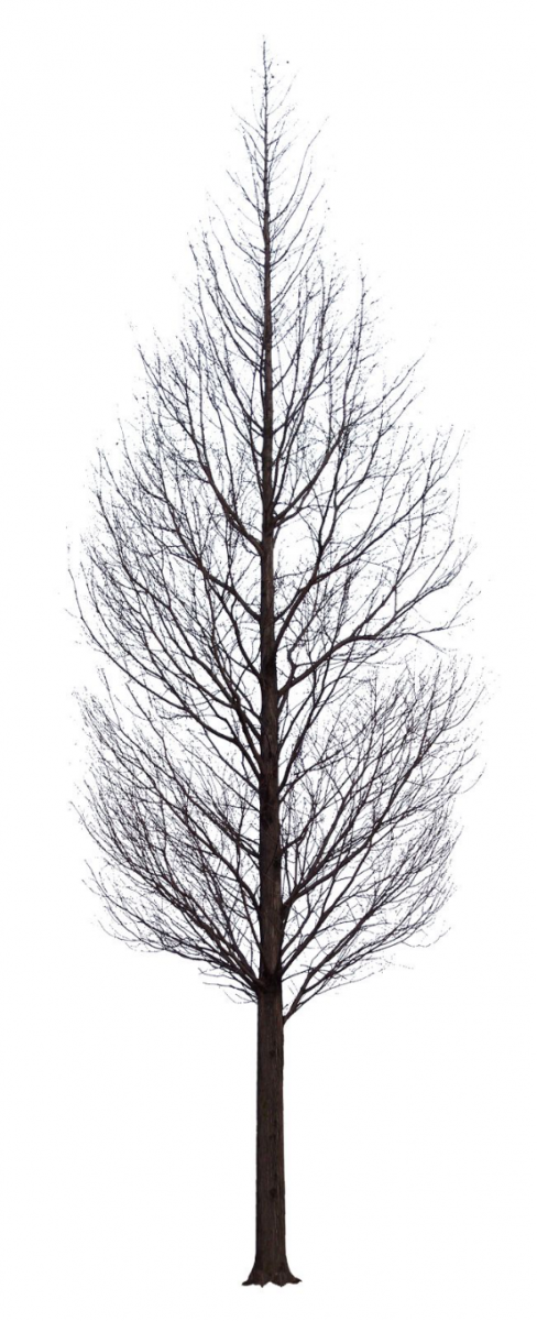 如何自己準備一套申請留學的景觀作品集？（上）