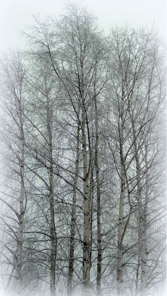 如何自己準備一套申請留學的景觀作品集？（上）