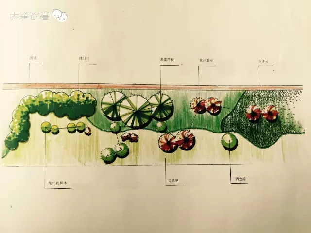 快速設計植物設置