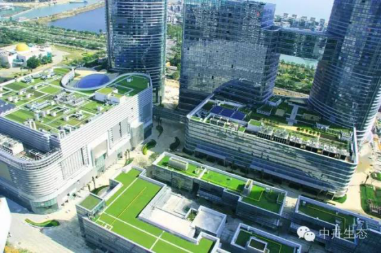 中卉生態(tài)容器種植技術(shù)項(xiàng)目進(jìn)入全國建設(shè)行業(yè)科技成果推廣項(xiàng)目