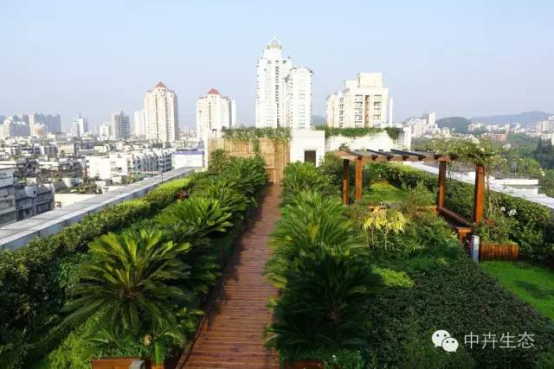 中卉生態(tài)容器種植技術(shù)項(xiàng)目進(jìn)入全國建設(shè)行業(yè)科技成果推廣項(xiàng)目