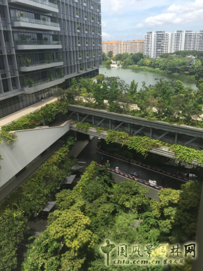 【園冶講壇】王才強(qiáng)：城市中的藍(lán)與綠