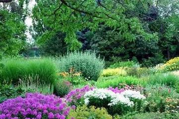 花園種植設(shè)計(jì)：花園里種出來(lái)的“音樂(lè)”