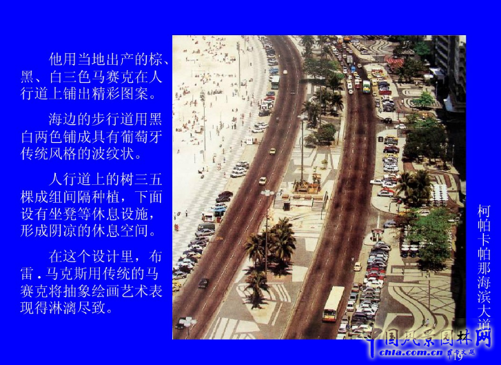 拉丁美洲的景觀設計