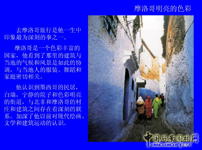 拉丁美洲的景觀設計