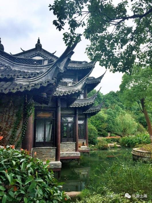 上海這個(gè)深藏不露的絕美園林免費(fèi)開放10天