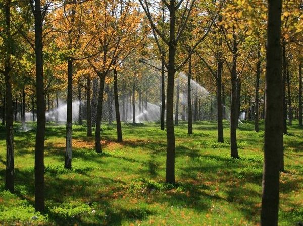 園林綠化高速發展 養護業務前景可期