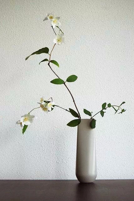 藝術(shù)，插花里也充滿著禪意