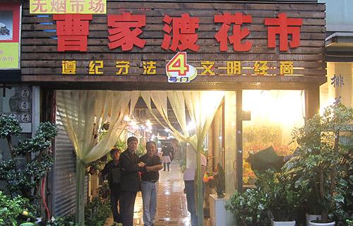 花木行情：上?；ㄊ小靶《碧攸c(diǎn)鮮明