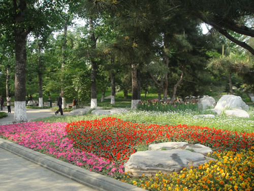 4月10日北京精品園林考察，火熱招募中！