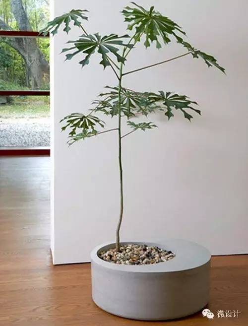 各式各樣的景觀細節(jié)設(shè)計欣賞