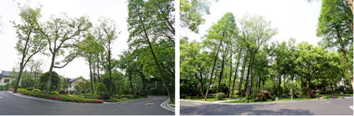 深入企業(yè)共話園林發(fā)展——風(fēng)景園林部落一行參觀考察西湖山莊項(xiàng)目