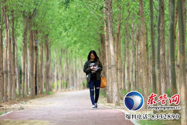 東營(yíng)生態(tài)園林與城市公園建設(shè)掠影