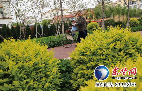 東營(yíng)生態(tài)園林與城市公園建設(shè)掠影