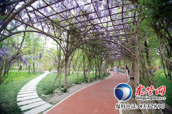 東營(yíng)生態(tài)園林與城市公園建設(shè)掠影