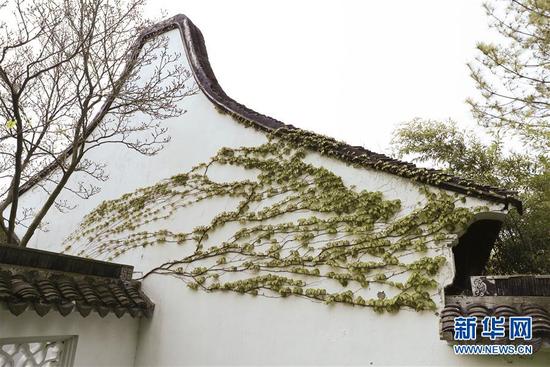 在紐約寄興園體驗(yàn)中國(guó)園林之美