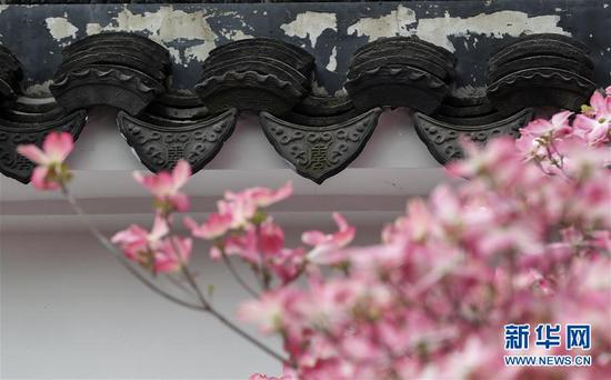 在紐約寄興園體驗(yàn)中國(guó)園林之美