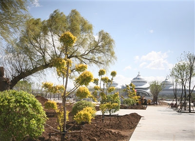 呼和浩特園林綠化讓市民“入則都市 出則田園”