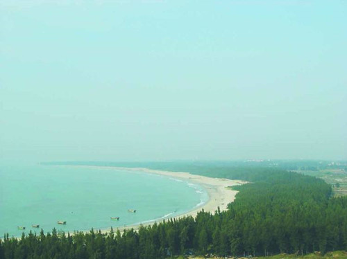 兩部委印發(fā)全國沿海防護(hù)林建設(shè)工程規(guī)劃
