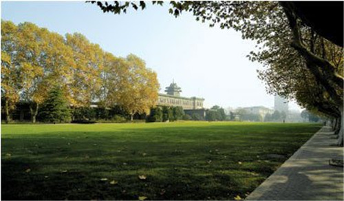 南京農大農業、植物與動物學躋身世界前列