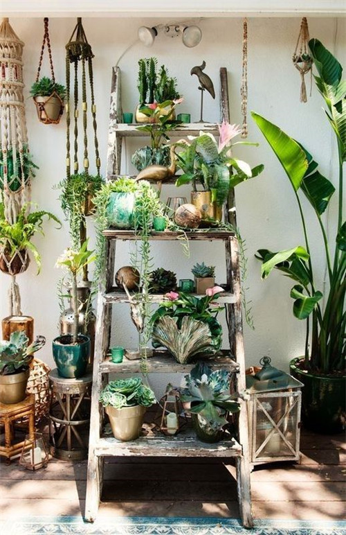 植物造景：如何布置你的陽臺？