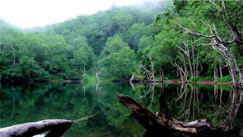 國(guó)家自然遺產(chǎn)地長(zhǎng)白山的自然風(fēng)光