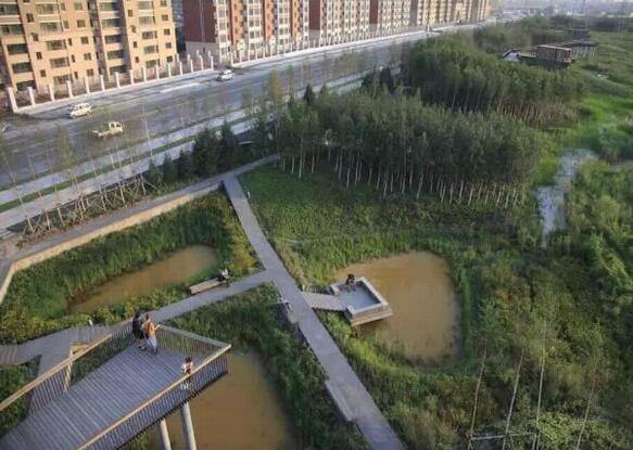 國內(nèi)雨水花園實踐：黑龍江群力雨水花園